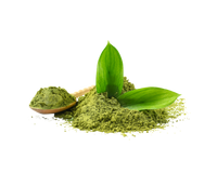 Matcha Extract