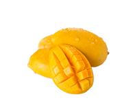 Mango Fruit Extract